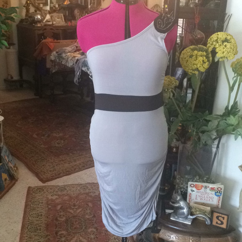 🍁free with purchase Aviva Gray black embellished stretch rouch dress